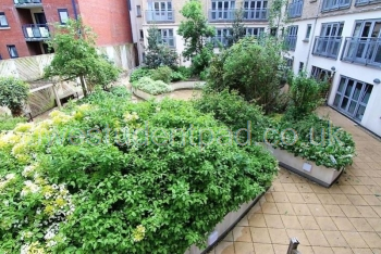 Gardens-3-bed-student-flat-Bristol_800x534