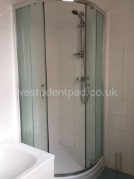 Shower in main bathroom