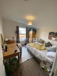 Bed 3 (2)