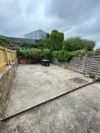 Back Garden