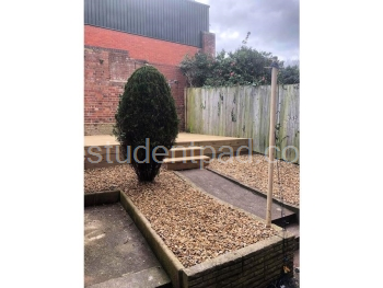 Garden 2