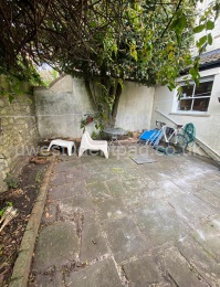Back Garden