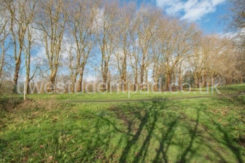 listing_714032_0009_