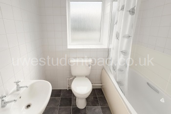 ChatGPT Image Nov 3, 2025, 11_16_40 AM.png